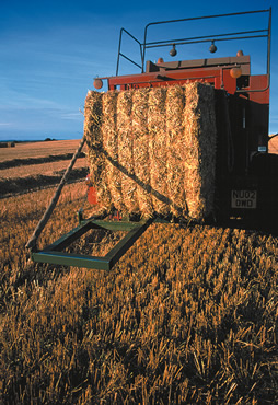 Tailgate Bale Turner